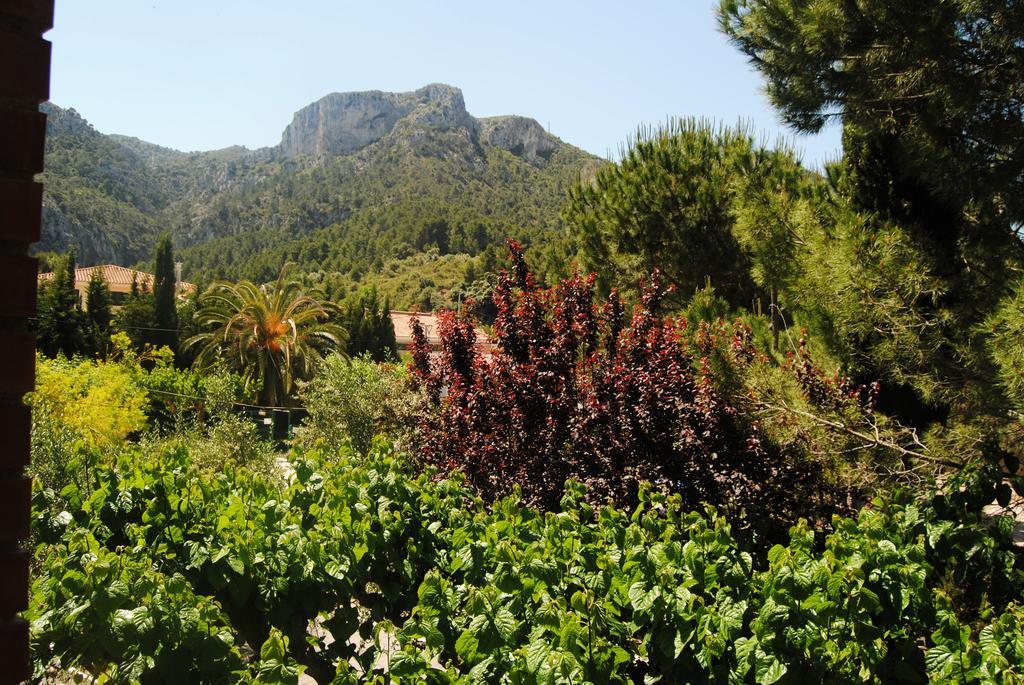 Hostal Braseria Tivissa Esterno foto